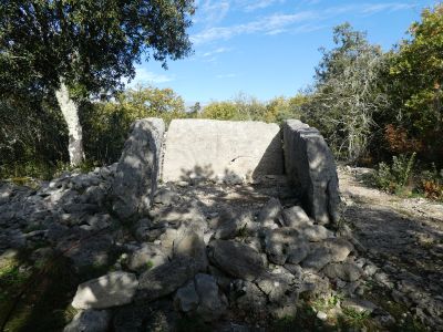 Vue dolmen Figère 5