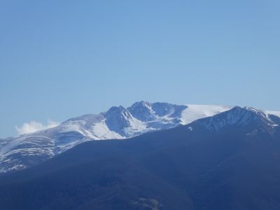 Vue Journalade