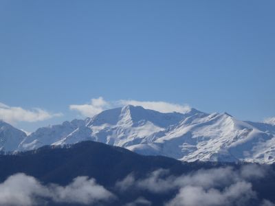 Vue Ruhos