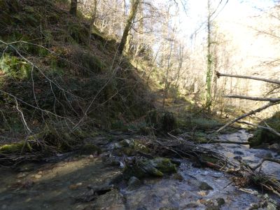 Vue gué Ruisseau Aleu retour
