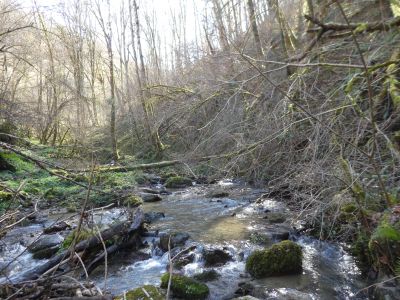Vue Ruisseau Aleu 4