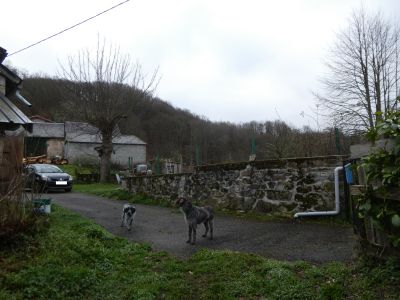 Fontale