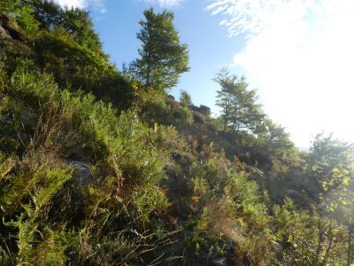 Vue montée Formente 2