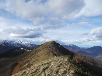 Vue Mardans