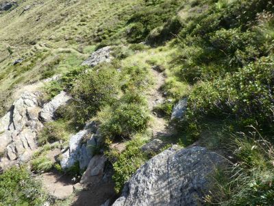 Croisement Izourt / Petsiguer 1 2
