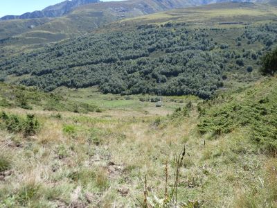 Vue descente Vaca Morta 3