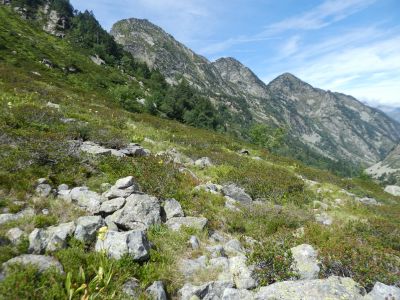 Croisement après Miey 2