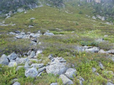 Croisement après Miey