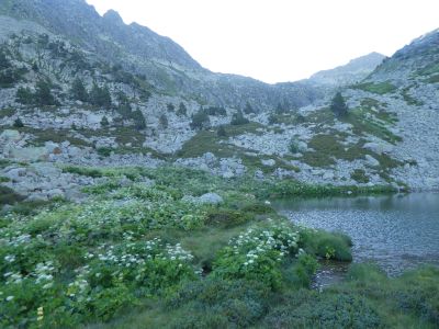 Etang inférieur Madides