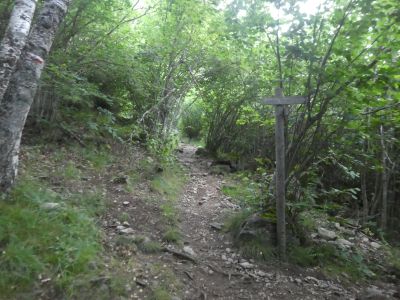 Croisement Chemin Cascades