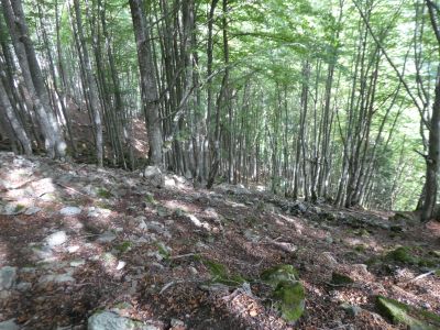 Vue descente Chourlot