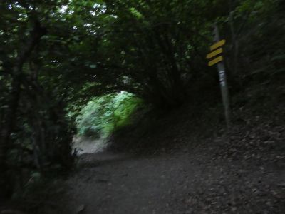 Croisement Cascade Artigue