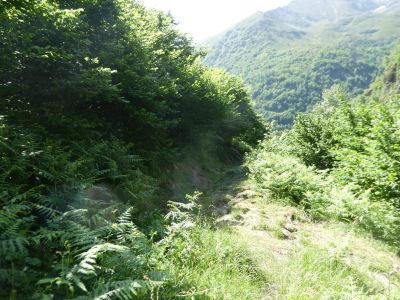 Croisement Labelanouses 2