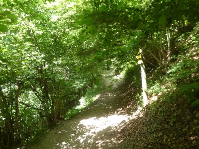 Croisement Cascade Artigue 2