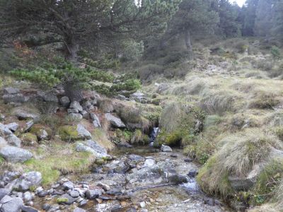 Vue Ruisseau Coume Or