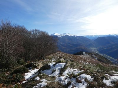 Descente Ponchut