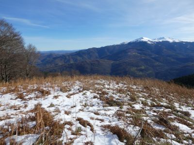 Croisement descente Ponchut