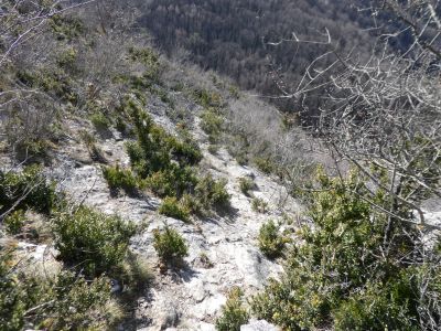 Vue descente Calamès