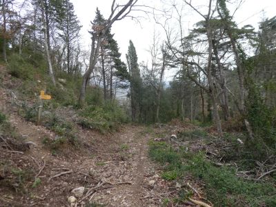 Croisement après Château