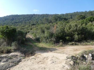 Croisement après Joffres