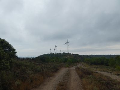 Vue éoliennes 8