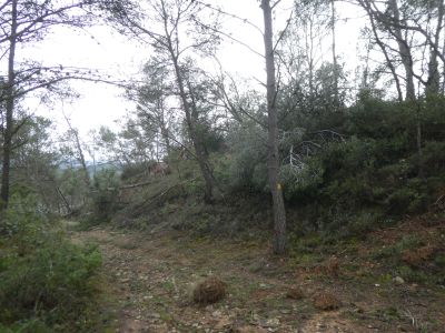 Croisement Cagalière