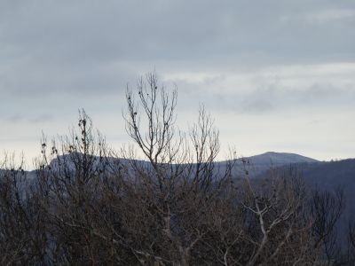 Vue Saint-Victor