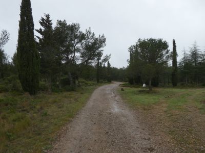 Croisement borne
