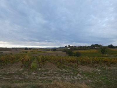 Vue vignes