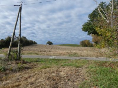 Croisement avant Parrasse
