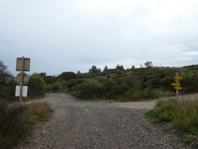 Croisement après Garrigue