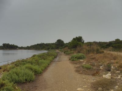 Vue sentier Etang Leucate
