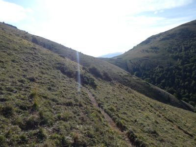 Croisement après Nègre