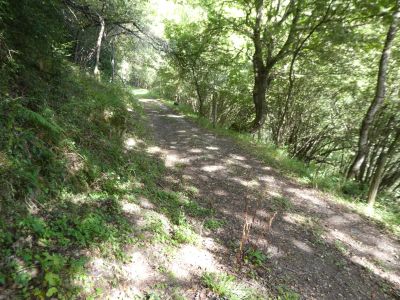 Croisement Salvanières