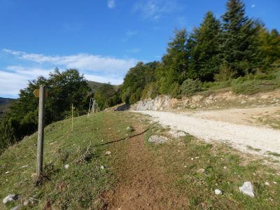 Croisement piste Ourtiset