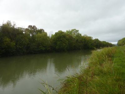 Vue Canal Rhône 3