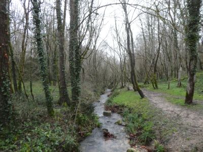 Vue Ruisseau Rodes
