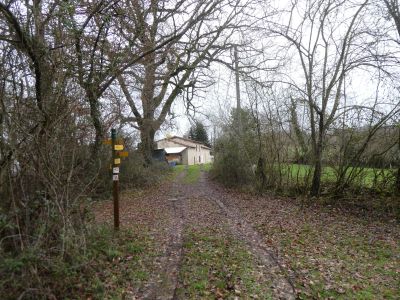 Cap Bosc