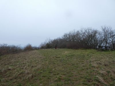 Vue sommet
