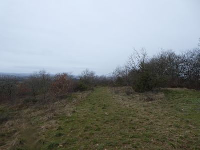Descente