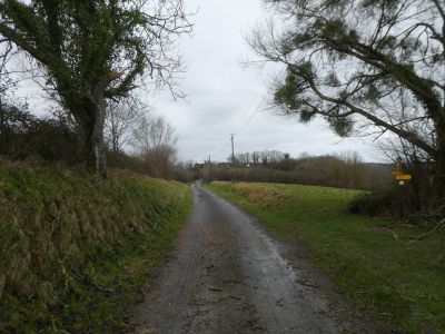 Cassaret