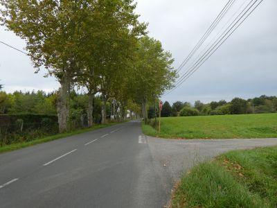 Croisement D17 Vert 2