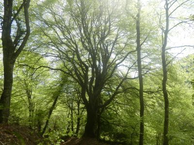 Vue remarquable