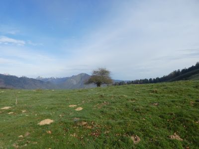 Couret Soulagnech