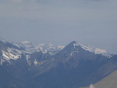 Vue Nère