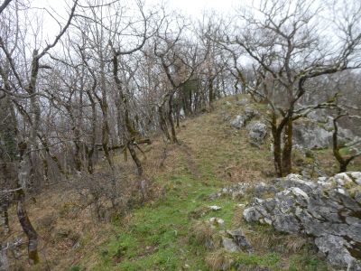 Descente
