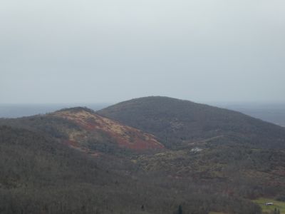 Vue Picon