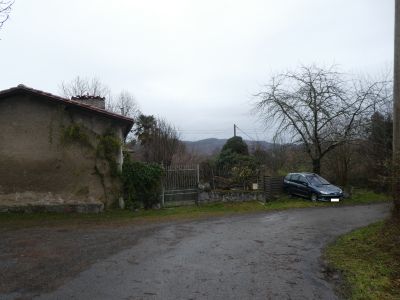 Mont