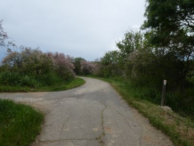 Intersection après fin Médeilhan