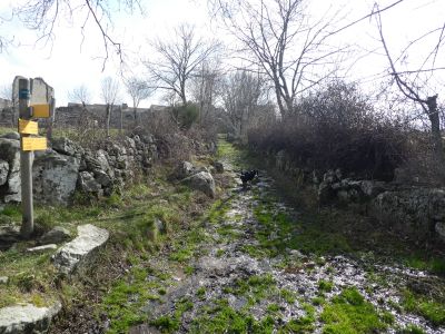 Chemin Fontaine